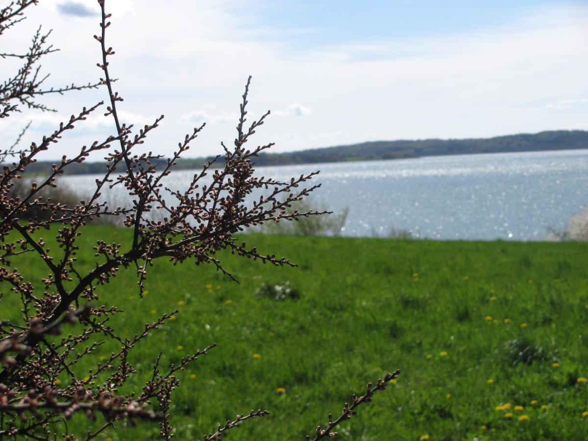 Tisvildehegn Bandb Helsinge ภายนอก รูปภาพ