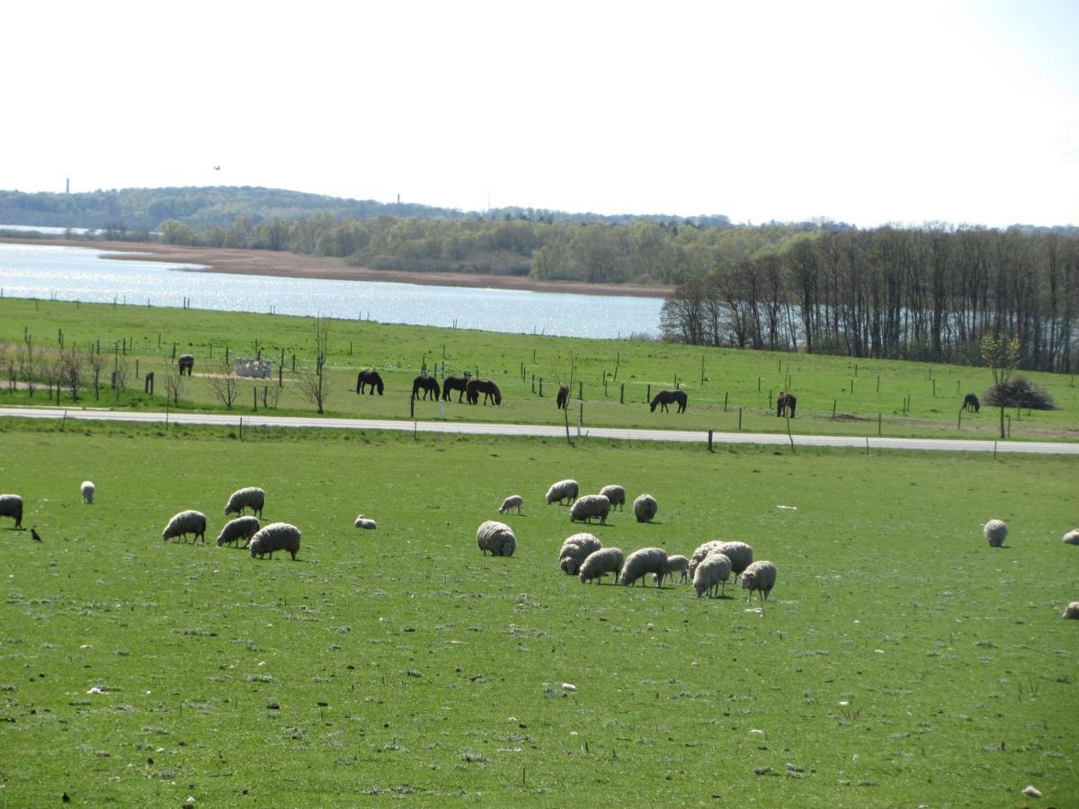 Tisvildehegn Bandb Helsinge ภายนอก รูปภาพ